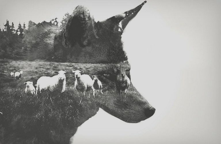 IRC WEB Services photoshop-filters-plugins-768x500 20+ Best Photoshop Filters + Plugins 2020 (+ How to Use Them) photoshop-filters-plugins-768x500 20+ Best Photoshop Filters + Plugins 2020 (+ How to Use Them) design tips