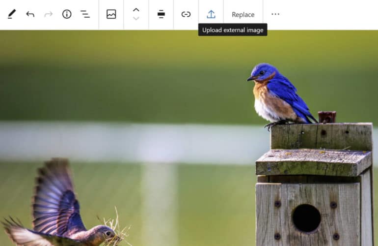 IRC WEB Services gb-upload-external-image-770x500 Gutenberg 8.5 Adds Single Gallery Image Editing, Allows Image Uploads From External Sources, and Improves Drag and Drop gb-upload-external-image-770x500 Gutenberg 8.5 Adds Single Gallery Image Editing, Allows Image Uploads From External Sources, and Improves Drag and Drop design tips