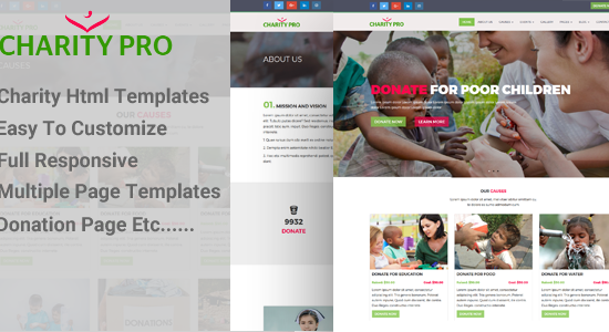 CharPro - Crowdfunding & Charity HTML5 Template