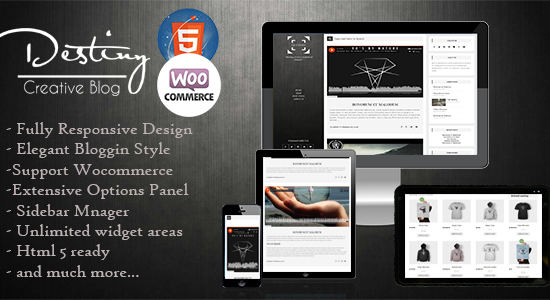 Destiny - Simple Blogging Theme