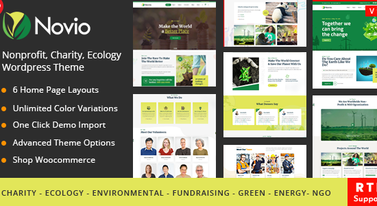 Novio - Nonprofit Charity WP