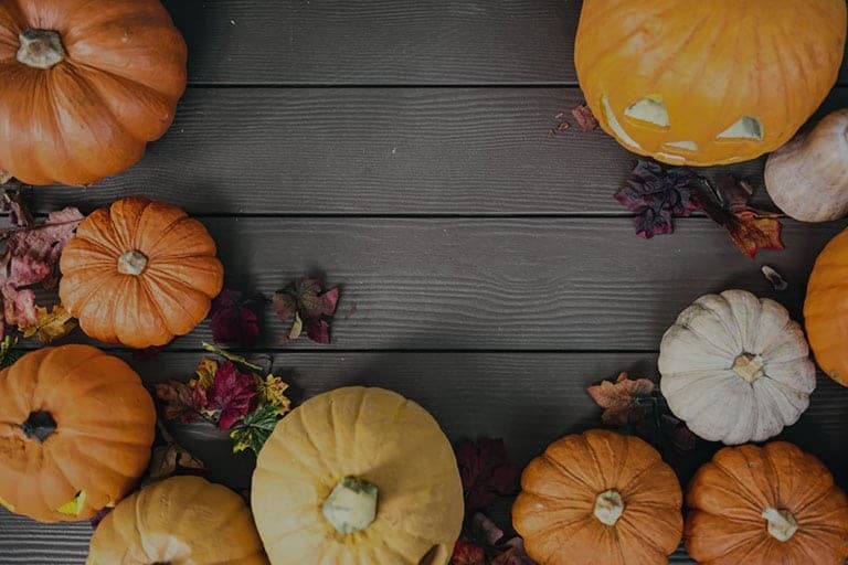 IRC WEB Services halloween-graphic-design Halloween Graphic Design: 10 Spooky Tips & Ideas halloween-graphic-design Halloween Graphic Design: 10 Spooky Tips & Ideas design tips