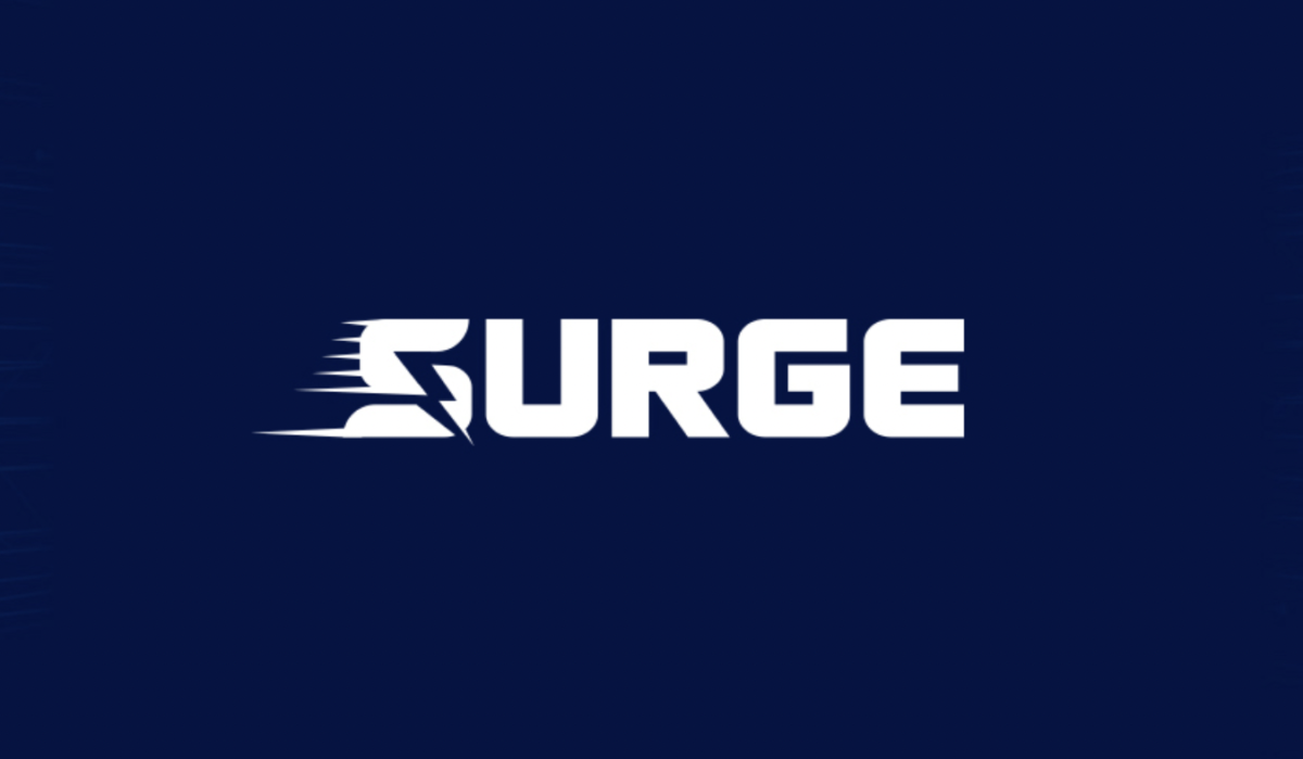 Screen-Shot-2021-12-08-at-5.56.23-PM Surge: A New Page Caching Plugin for WordPress with No Configuration Required design tips 