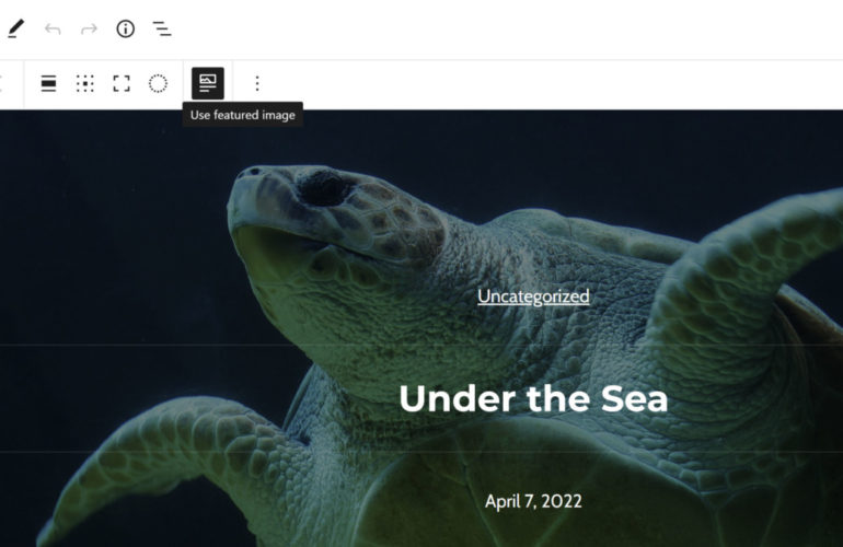 IRC WEB Services featured-cover-images-770x500 Featured Cover Blocks and the Future of Binding Data to Generic WordPress Blocks featured-cover-images-770x500 Featured Cover Blocks and the Future of Binding Data to Generic WordPress Blocks design tips