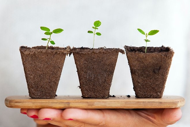 IRC WEB Services revenue-stream-ideas-for-agencies 5 Outside the Box Revenue Stream Ideas for Agencies revenue-stream-ideas-for-agencies 5 Outside the Box Revenue Stream Ideas for Agencies design tips