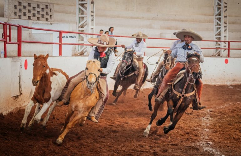 IRC WEB Services pexels-sebastian-figueroa-11260824-770x500 WordPress Podcast and Video Picks for the Week of May 1 pexels-sebastian-figueroa-11260824-770x500 WordPress Podcast and Video Picks for the Week of May 1 design tips