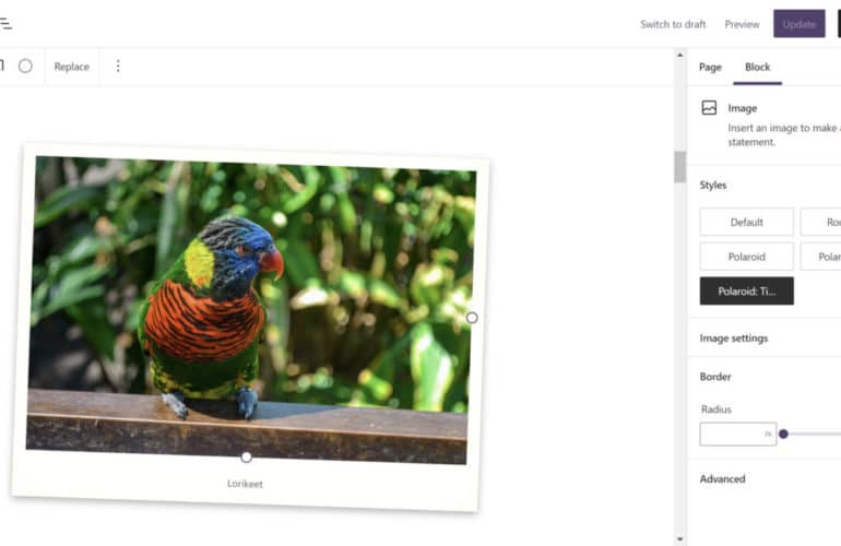 IRC WEB Services polaroid-featured-770x500 Building a “Polaroid” Image Block Style polaroid-featured-770x500 Building a “Polaroid” Image Block Style design tips