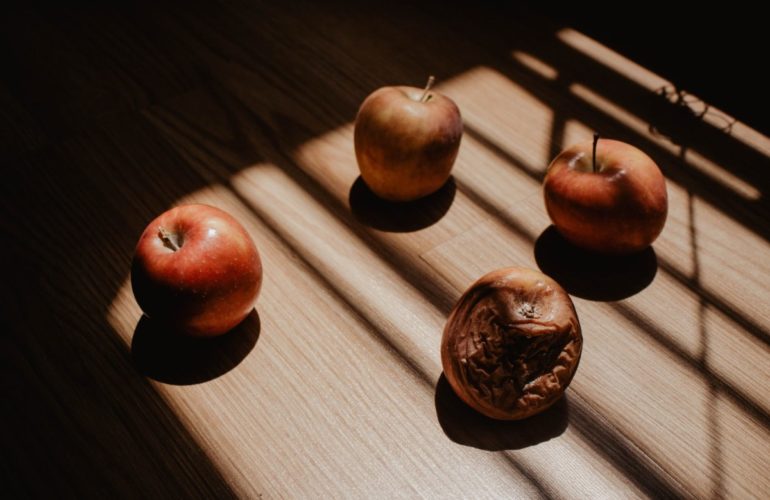 IRC WEB Services pexels-photo-6934550-770x500 What is the WordPress community capable of? A lot of good. And a few bad apples. pexels-photo-6934550-770x500 What is the WordPress community capable of? A lot of good. And a few bad apples. design tips