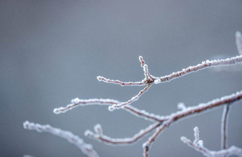 IRC WEB Services freeze-770x500 New Proposal Seeks to Update WordPress Release Process for Merging Gutenberg Features After Beta 1 Feature Freeze freeze-770x500 New Proposal Seeks to Update WordPress Release Process for Merging Gutenberg Features After Beta 1 Feature Freeze design tips