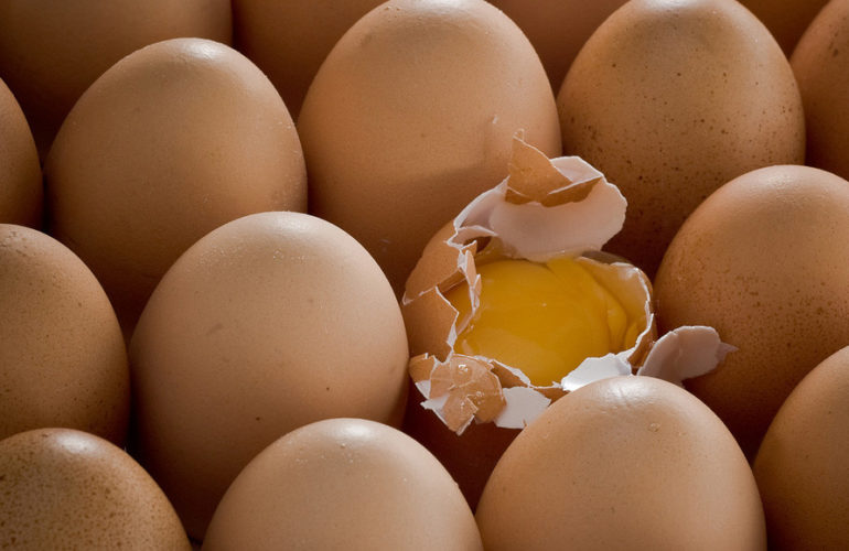 broken-770x500 WordPress 6.2.1 Update Breaks Shortcode Support in Block Templates design tips 