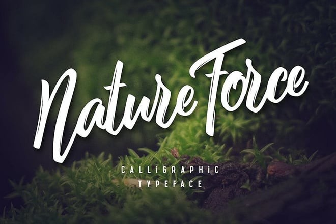 earthy-nature-fonts 25+ Best Earthy & Nature Fonts 2023 design tips 