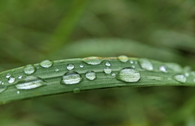 IRC WEB Services 26261ba7abea15365.73581504-2048x1536-1-770x500 Community Roundup Week Ending September 29 26261ba7abea15365.73581504-2048x1536-1-770x500 Community Roundup Week Ending September 29 design tips