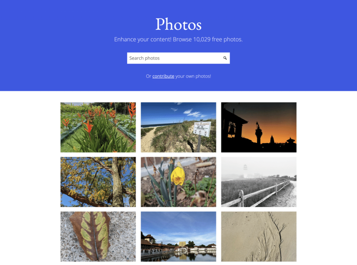 Screen-Shot-2023-10-12-at-12.39.13-PM Behind the Lens: WordPress Photos Directory Surpasses 10,000 Images, Moderators Explore Future Enhancements design tips 