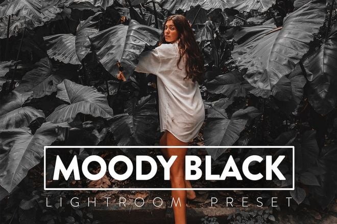 moody-lightroom 25+ Best Moody Lightroom Presets for Photographers design tips 
