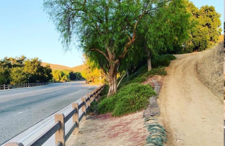 IRC WEB Services wpt-nginx-770x500 Freenginx’s Stand Against Corporate Limits: Potentially A New Era for WordPress Hosting wpt-nginx-770x500 Freenginx’s Stand Against Corporate Limits: Potentially A New Era for WordPress Hosting design tips