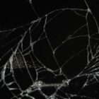 IRC WEB Services Breaking-the-WordPress-Status-Quo-scaled-1-140x140 Joost de Valk Calls for Breaking the WordPress Status Quo, Community Reacts Breaking-the-WordPress-Status-Quo-scaled-1-140x140 Joost de Valk Calls for Breaking the WordPress Status Quo, Community Reacts design tips