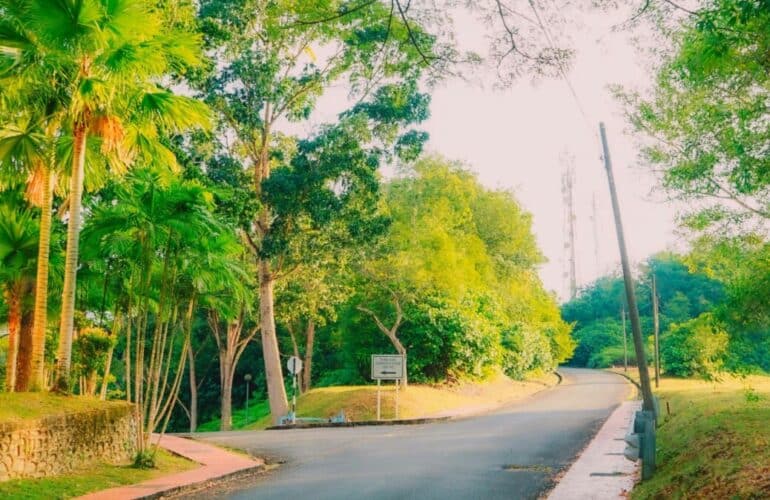 IRC WEB Services Mathieu-Viet-Leaves-WordPress-2-scaled-1-770x500 BuddyPress Lead Developer Mathieu Viet Leaves WordPress Ecosystem Mathieu-Viet-Leaves-WordPress-2-scaled-1-770x500 BuddyPress Lead Developer Mathieu Viet Leaves WordPress Ecosystem design tips