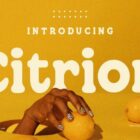 rounded-serif-fonts-140x140 20+ Best Rounded Serif Fonts for Modern Aesthetics design tips 