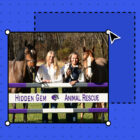 murphy-levesque-co-founded-an-animal-rescue-at-11.-her-wordpress.com-site-helped-save-over-100-animals-140x140 How Murphy Levesque’s WordPress.com Site Helped Rescue 100+ Animals WordPress 