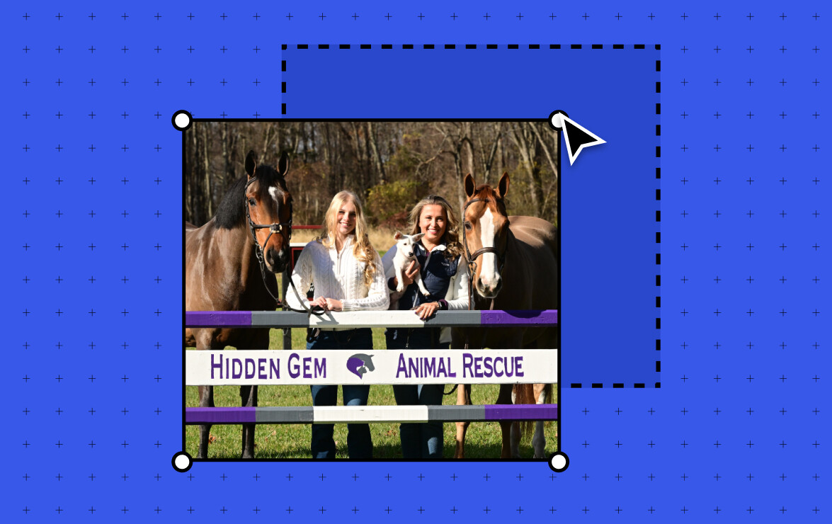 murphy-levesque-co-founded-an-animal-rescue-at-11.-her-wordpress.com-site-helped-save-over-100-animals How Murphy Levesque’s WordPress.com Site Helped Rescue 100+ Animals WordPress 